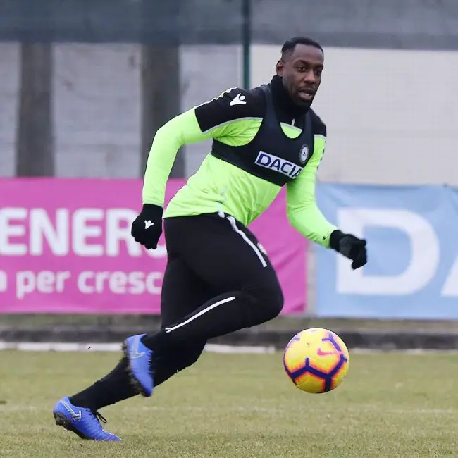 stefano-okaka-udinese-watford