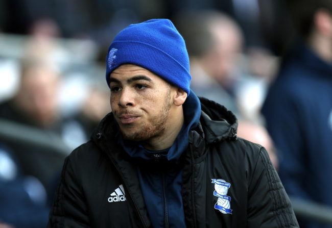 leicester-city-premier-league-transfer-che-adams-king-power-stadium