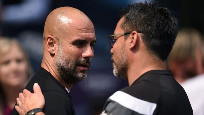 guardiola-premier-league-manchester-city-david-wagner