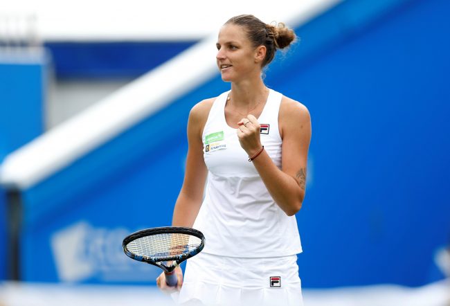 Pliskova fights back to beat Williams