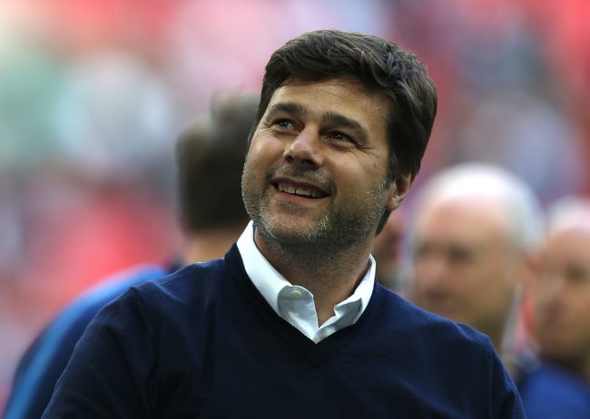 Pochettino happy with efforts