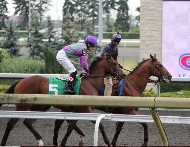 exciting-kentucky-derby-year