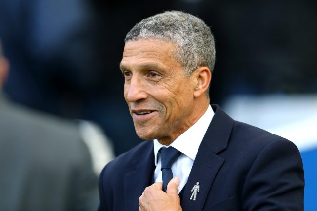 Hughton relief as Seagulls fight back