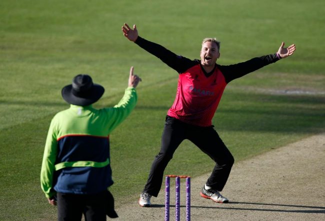 Van Zyl pens Sussex deal extension