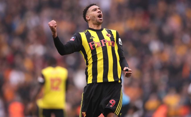 Capoue not interested in watching foo