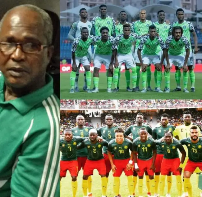 henry-nwosu-super-eagles-afcon-2019-africa-cup-of-nations-egypt-2019-indomitable-lions-cameroon