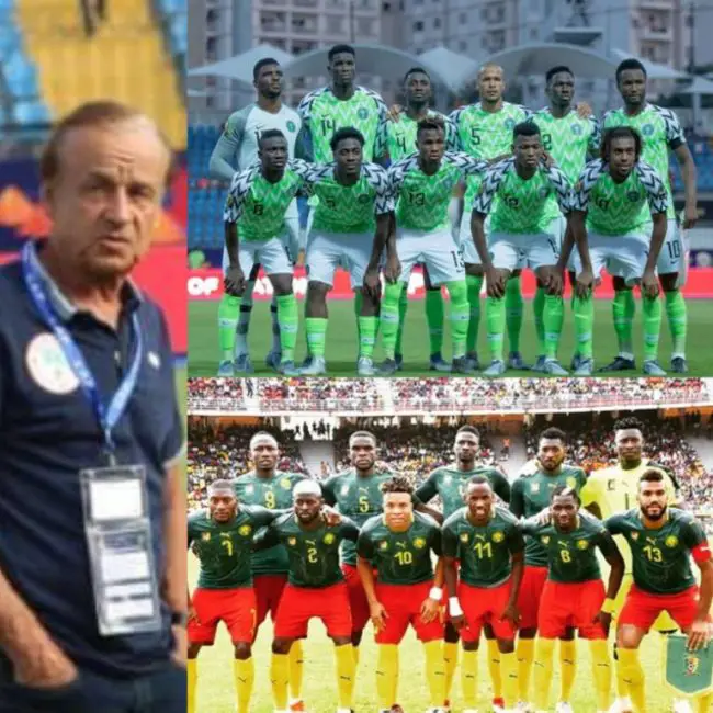 gernot-rohr-super-eagles-afcon-2019-africa-cup-of-nations-egypt-2019-indomitable-lions-cameroon