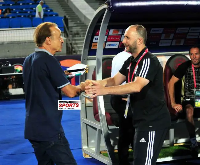 super-eagles-gernot-rohr-afcon-2019-africa-cup-of-nations-egypt-2019-djamel-belmadi