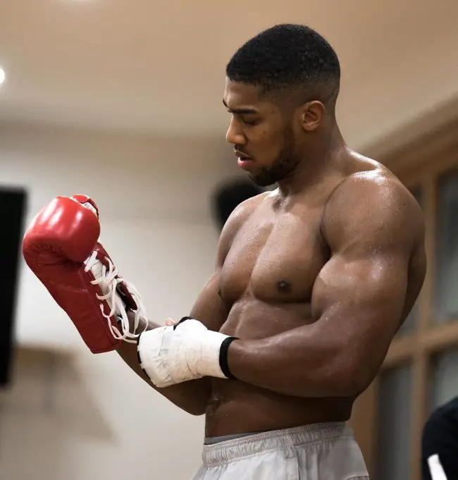 Joshua Not Interested In Fighting Tyson