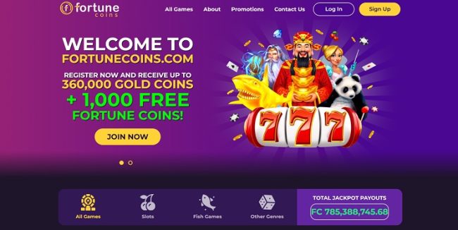 Fortune Coins Casino