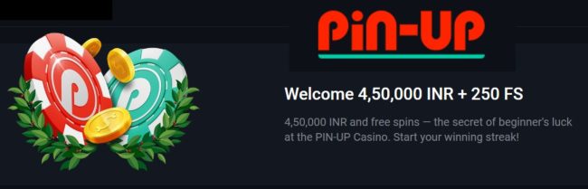 Pin Up Casino Bonus