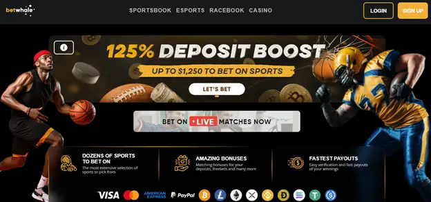 NFL Betting Sites