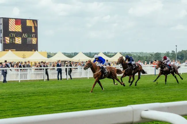 Ascot Gold Cup